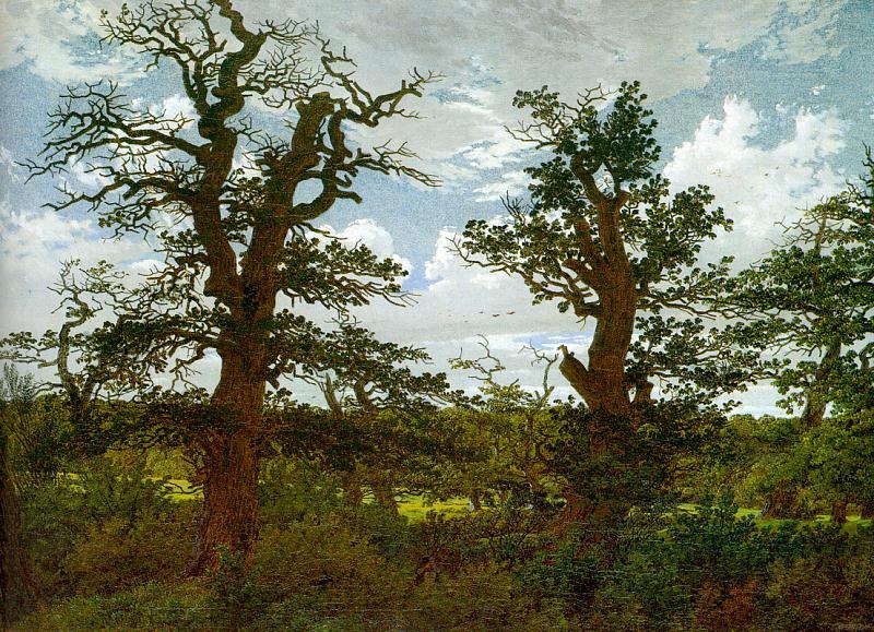 Caspar David Friedrich Landscape with Oak Trees and a Hunter oil painting image